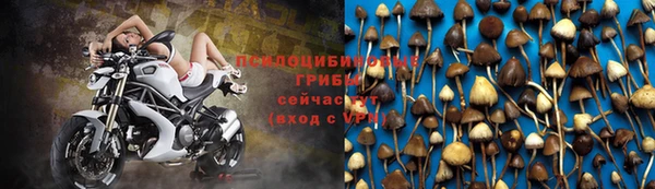 твердый Нефтекумск