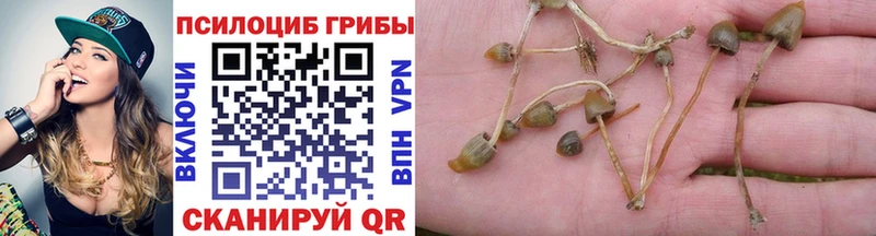 Галлюциногенные грибы Magic Shrooms Устюжна